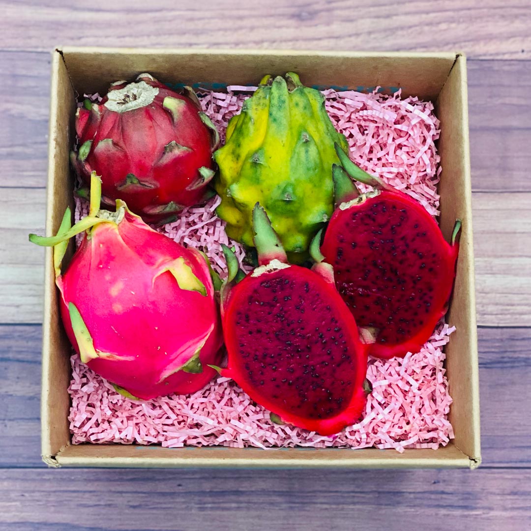 Congo Dragon Fruit Pitaya Red (White Flesh) Shipping