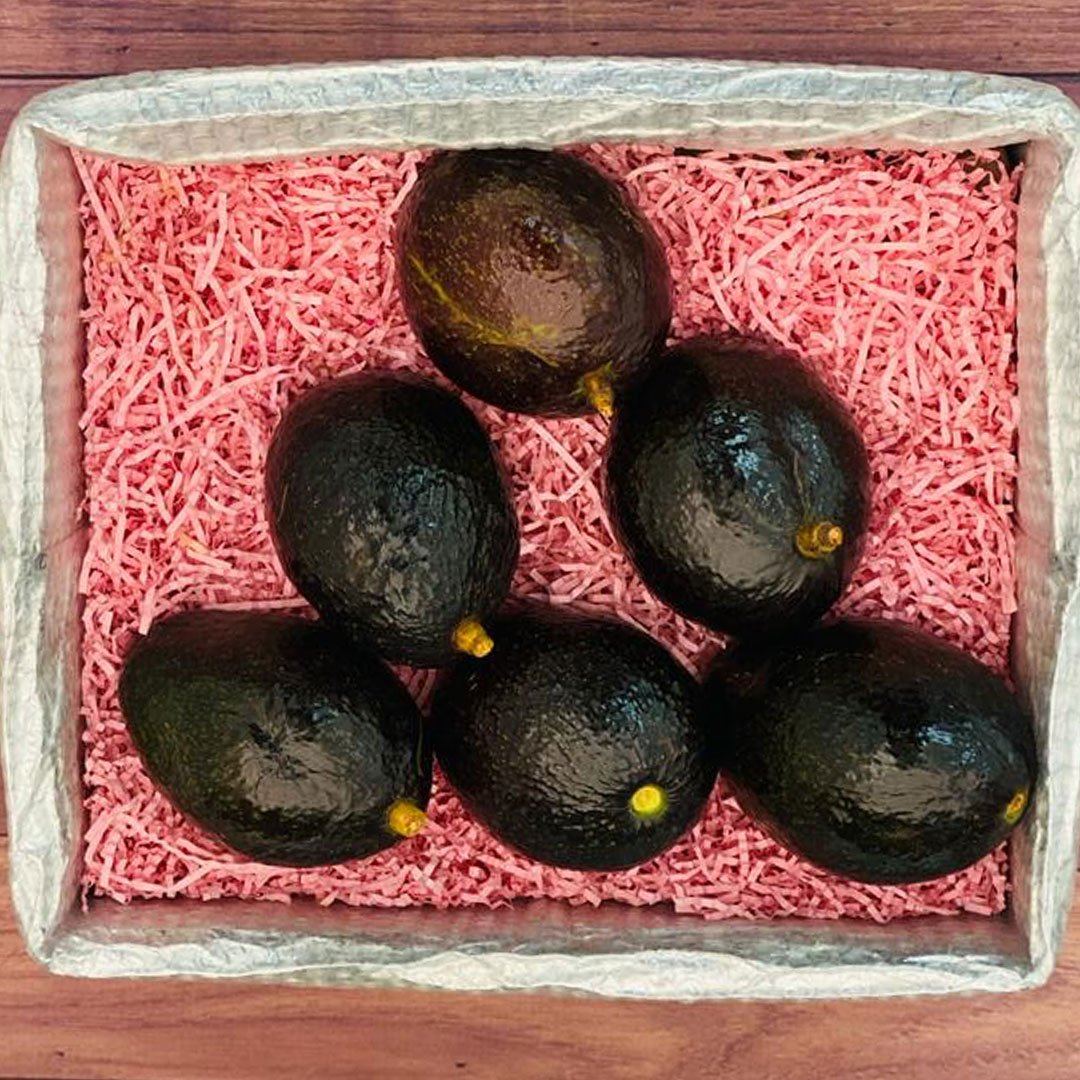 Box of Oro Negro Avocado