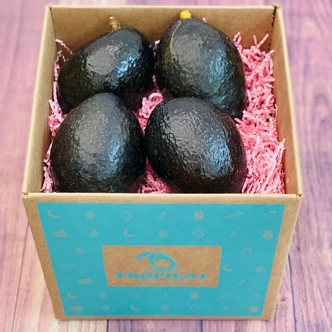 Buy this box of Oro Negro Avocado