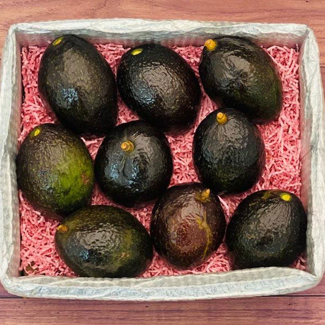 Avocado In Box Oro Negro Avocado - Small (4 Avocados)