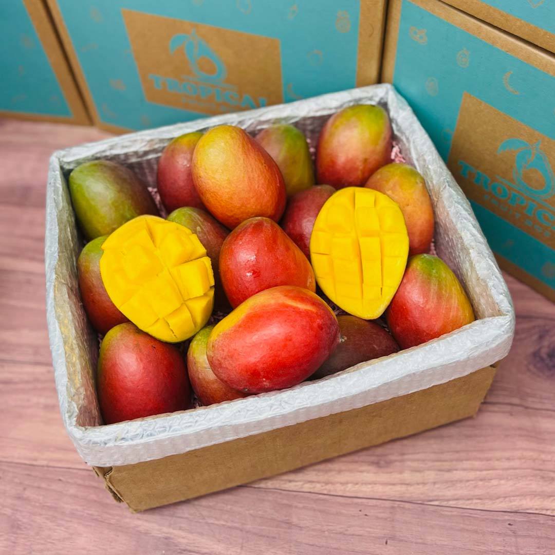 The Palmer Mango Box Tropical Fruit Box 