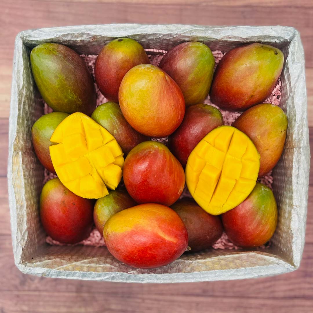 The Palmer Mango Box Tropical Fruit Box Large (16 Pounds) 