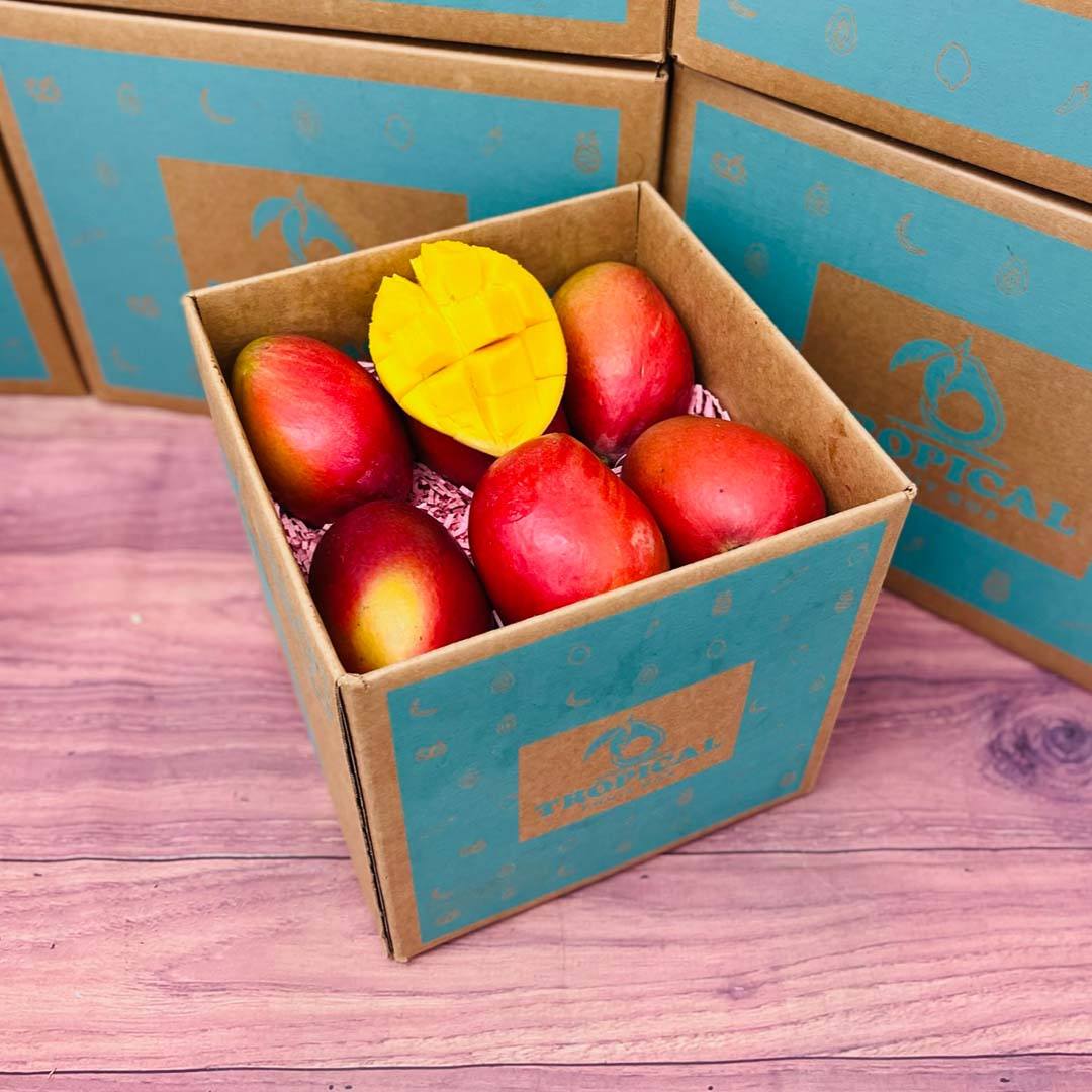The Palmer Mango Box - Small (5 Pounds) - Tropical Fruit Box