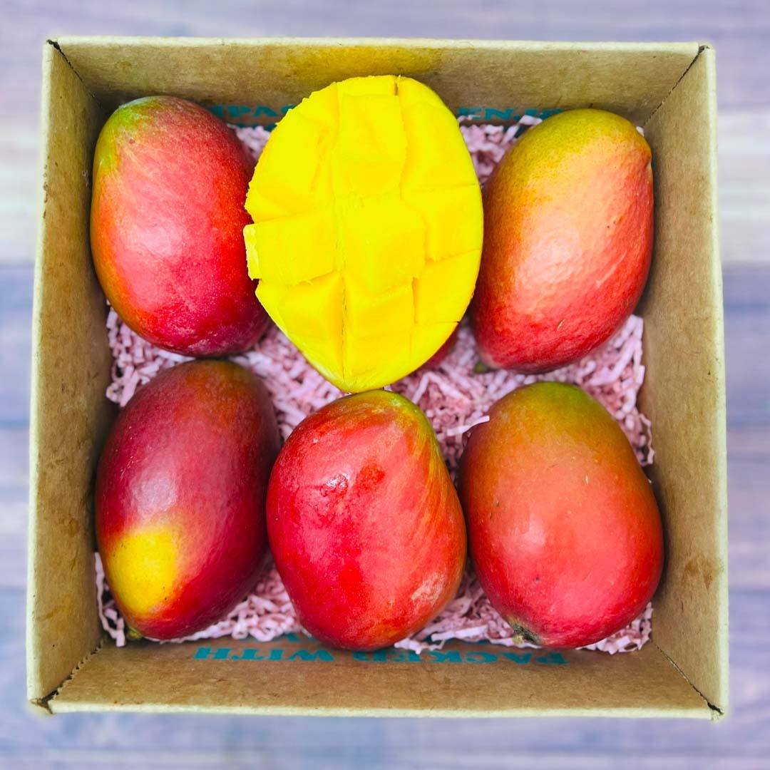 The Palmer Mango Box Tropical Fruit Box Small (5 Pounds) 