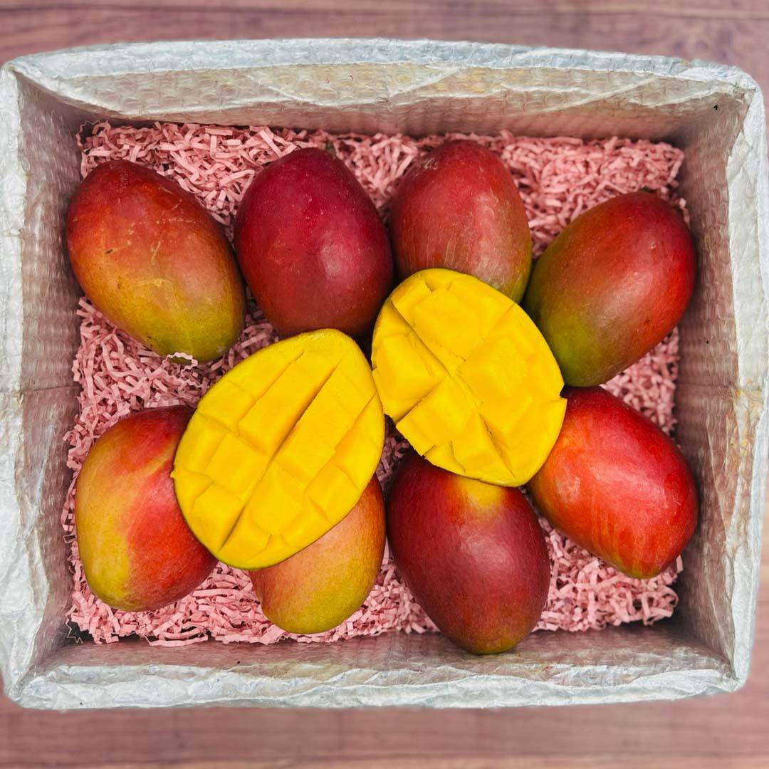 The Palmer Mango Box Tropical Fruit Box Medium (8 Pounds) 