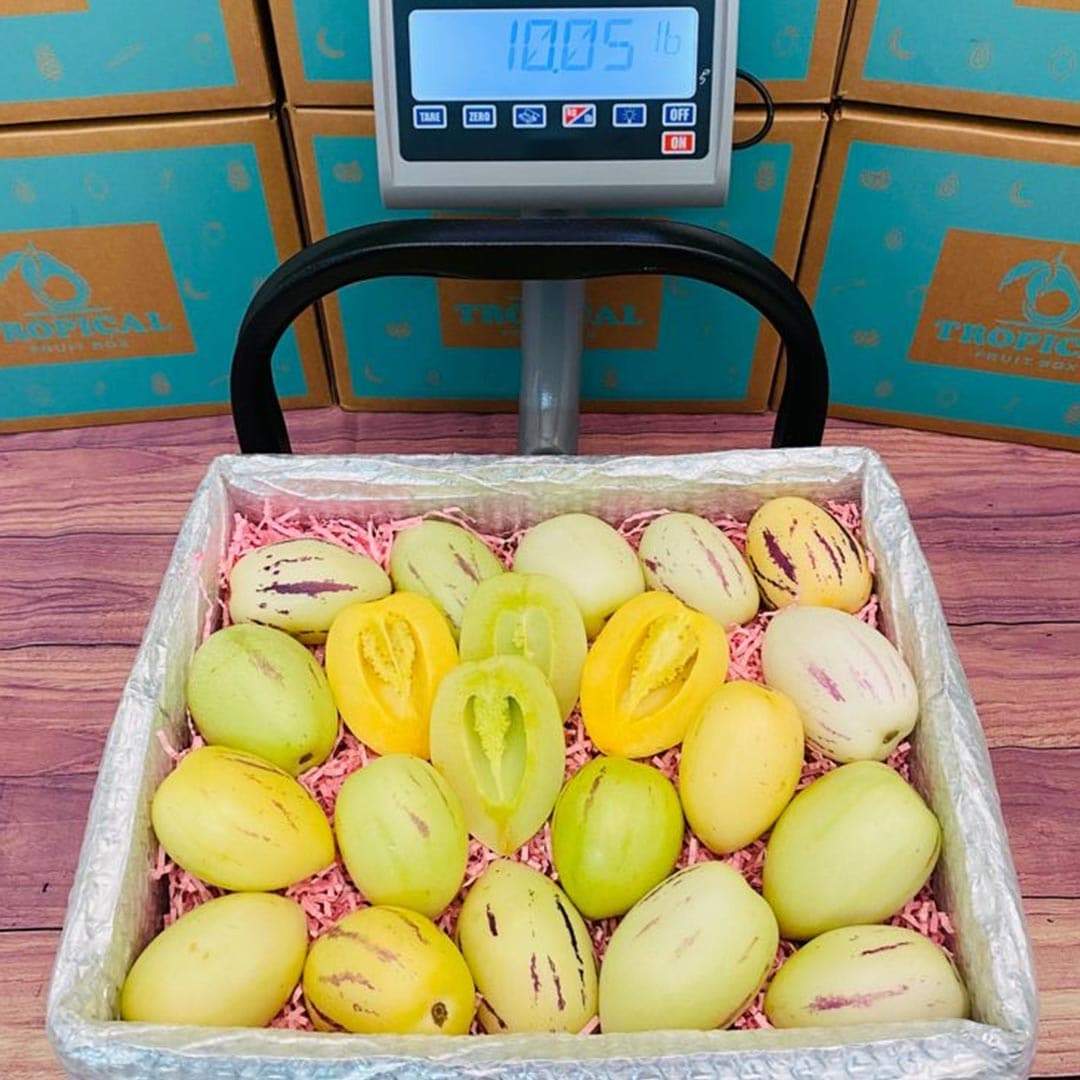 Pepino Melon scale 8 pounds
