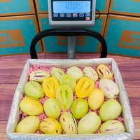 Thumbnail for Pepino Melon scale 8 pounds