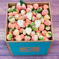 Thumbnail for Pineberry White Strawberries 