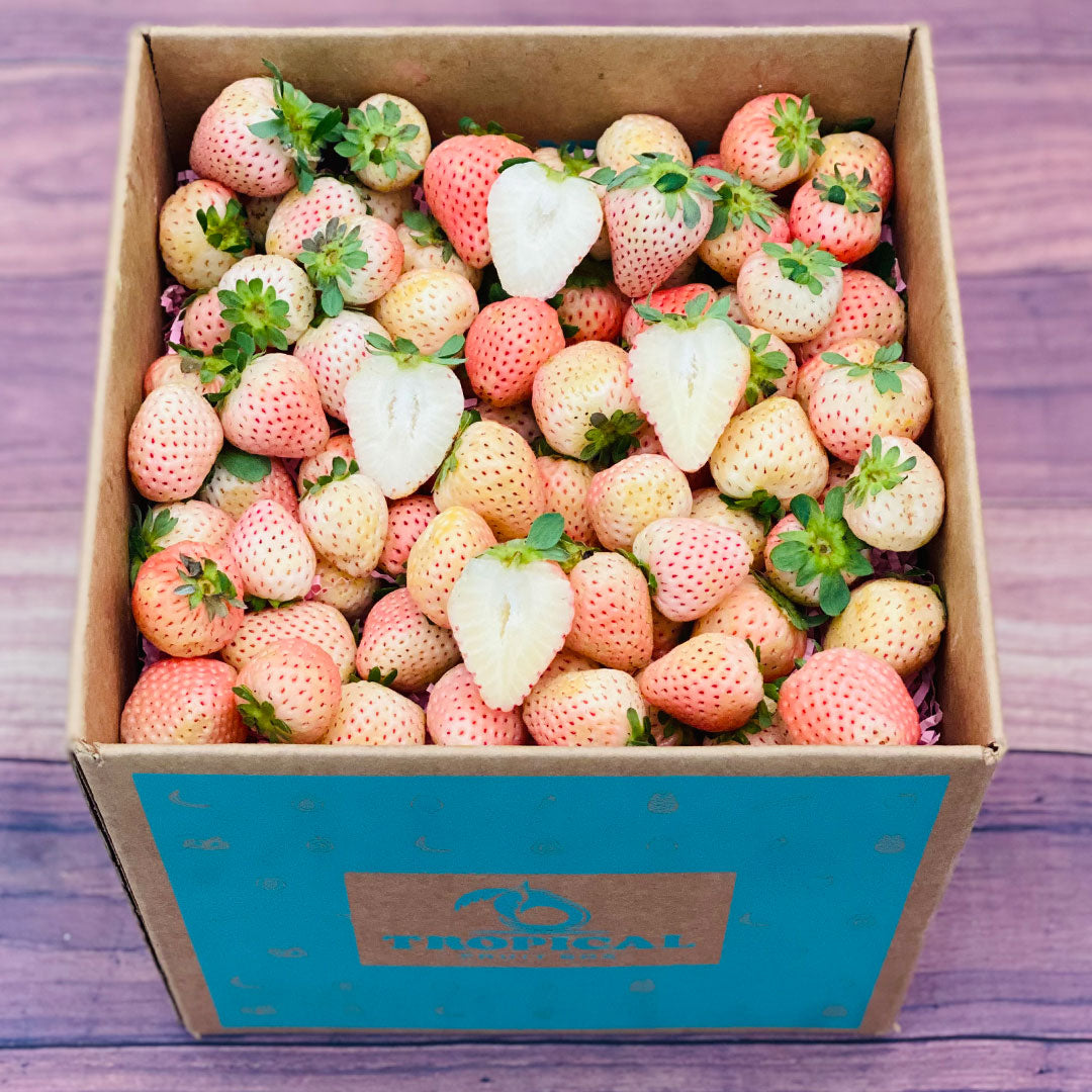 Pineberry White Strawberries 