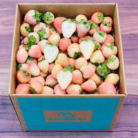Thumbnail for Pineberry White Strawberries 