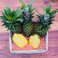 Thumbnail for Premium Tropical Golden Pineapple Box Produce Box Tropical Fruit Box 