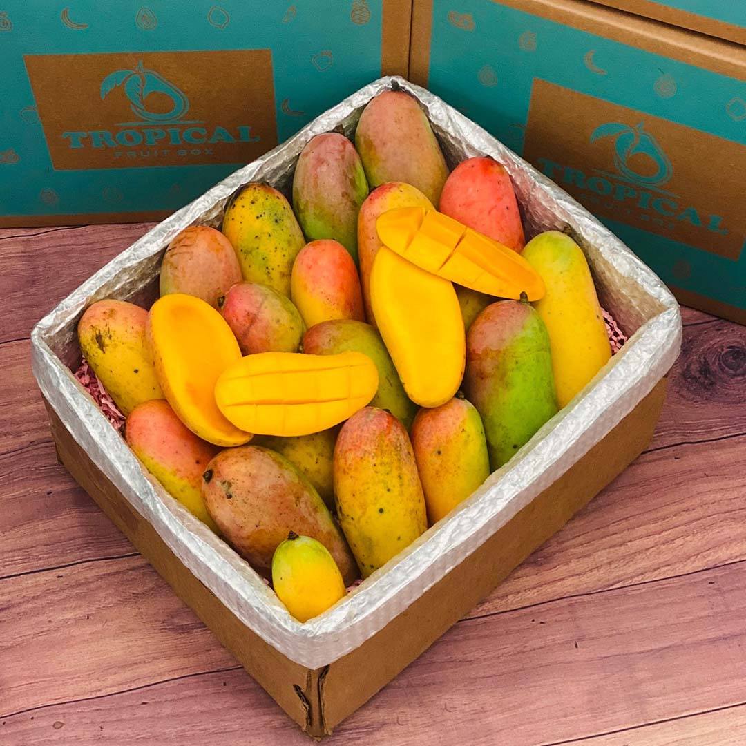 Rainbow Mango Box Mangoes Tropical Fruit Box Extra Large (16 Pounds) 