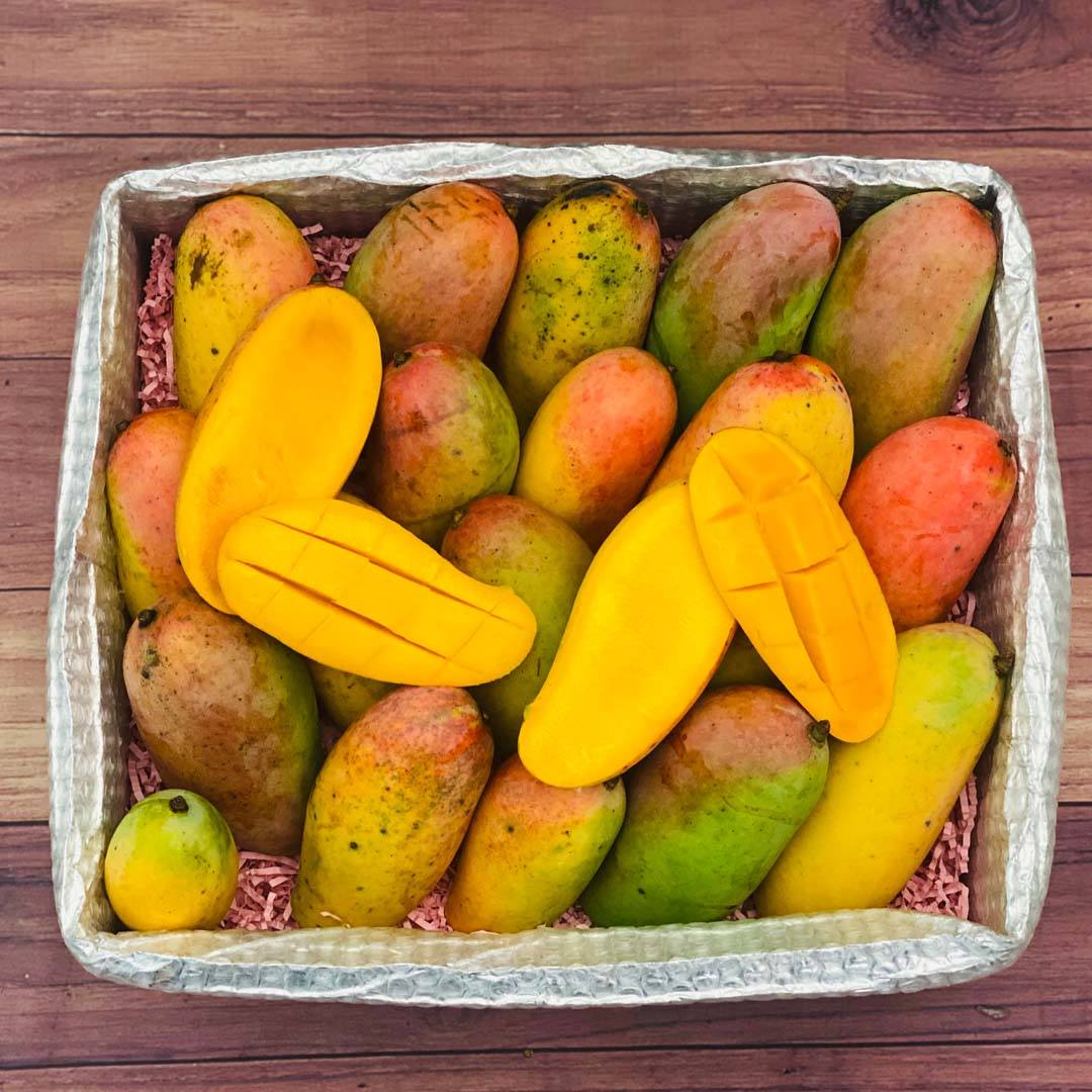 Rainbow Mango Box - Small (3 Pounds) - Tropical Fruit Box