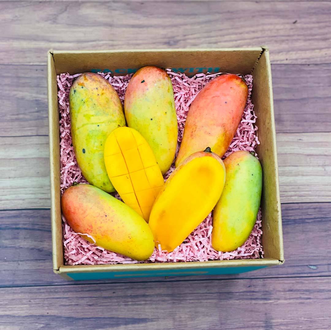 Rainbow Mango Box - Tropical Fruit Box