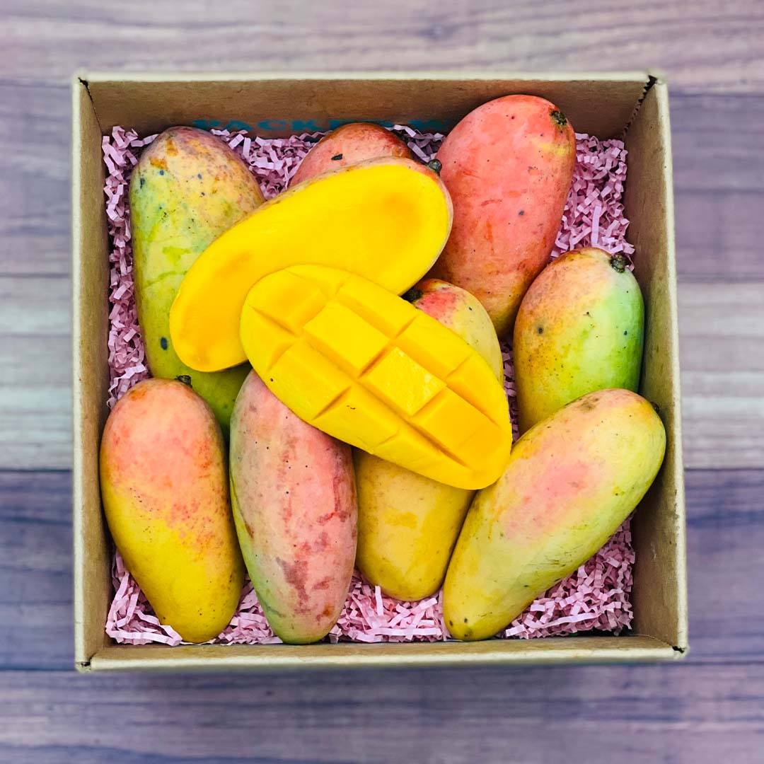 Rainbow Mango Box - Small (3 Pounds) - Tropical Fruit Box