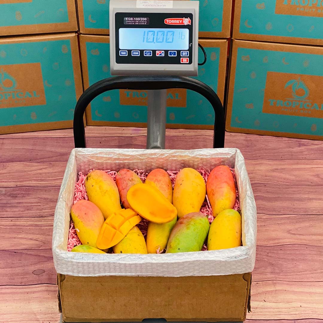 Rainbow Mango Box - Small (3 Pounds) - Tropical Fruit Box
