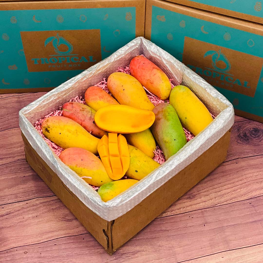 Rainbow Mango Box Mangoes Tropical Fruit Box Large (8 Pounds) 