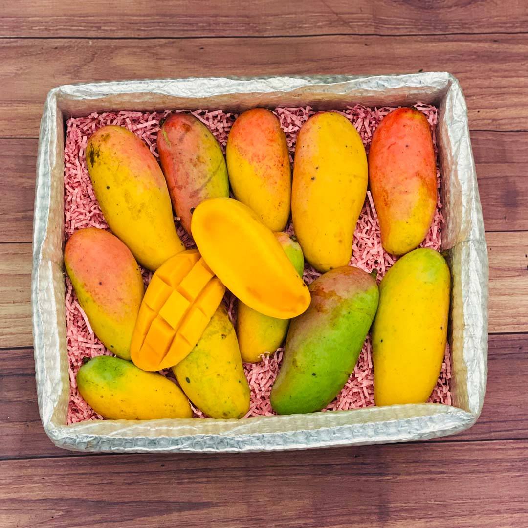 Rainbow Mango Box - Small (3 Pounds) - Tropical Fruit Box