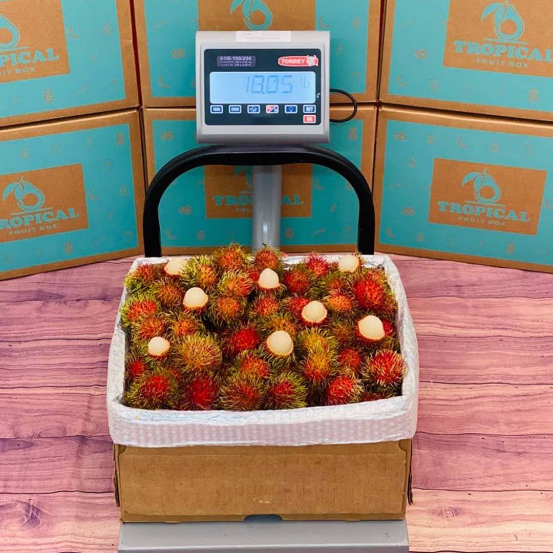 Rambutan - Order a box of Rambutan Online from Tropical Fruit Box ...