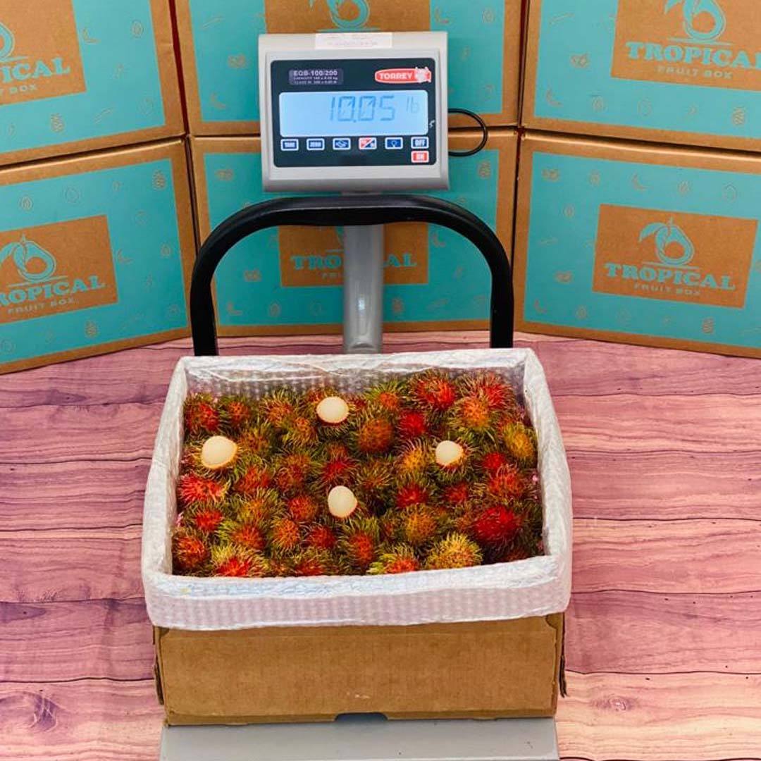 Rambutan - Order a box of Rambutan Online from Tropical Fruit Box ...