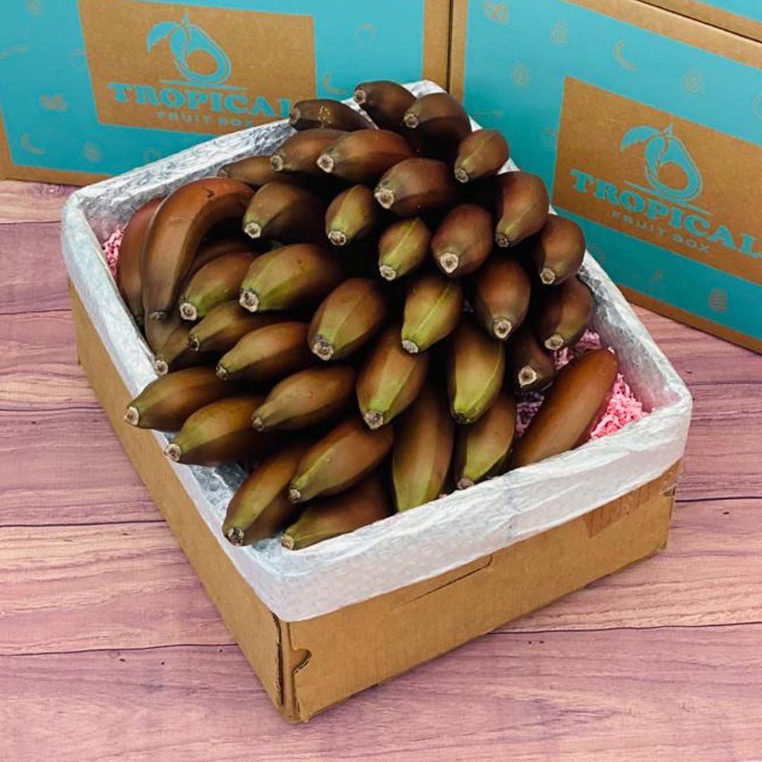 Red Banana Box Produce Box Tropical Fruit Box Large (16 Pounds) 
