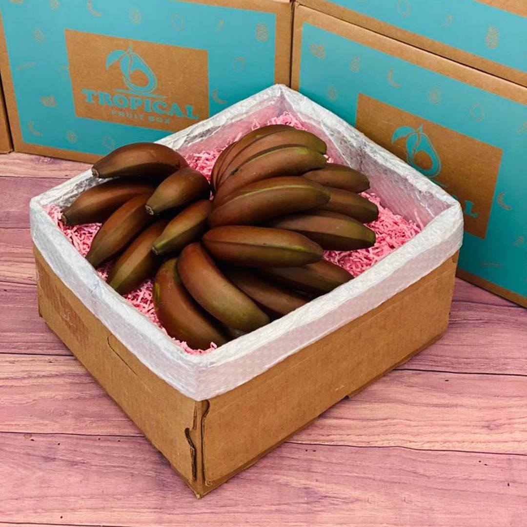 Red Banana Box Produce Box Tropical Fruit Box 