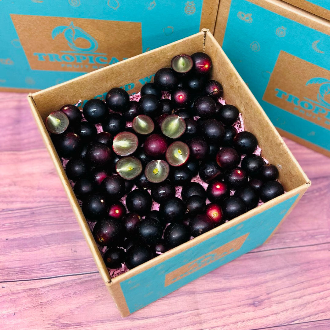 Red Muscadine Grape Box - Large (8 Pounds) - Tropical Fruit Box