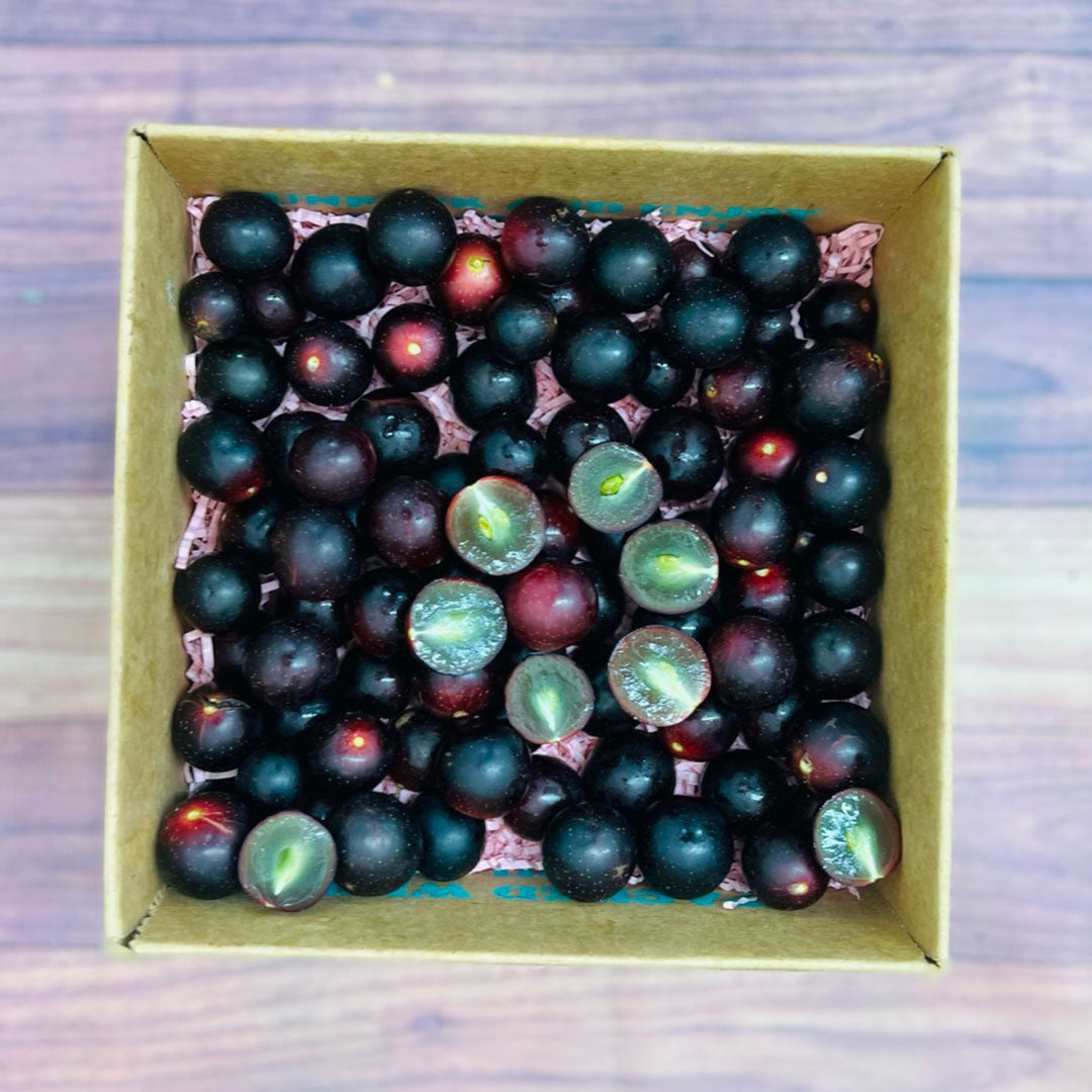 Red Muscadine Grape Box - Large (8 Pounds) - Tropical Fruit Box
