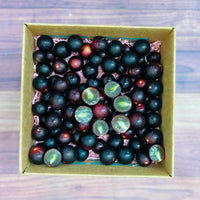 Thumbnail for Red Muscadine Grapes Box Grapes Tropical Fruit Box Small (3 Pounds) 