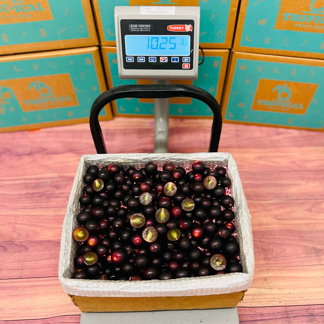 Red Muscadine Grape Box - Medium (5 Pounds) - Tropical Fruit Box