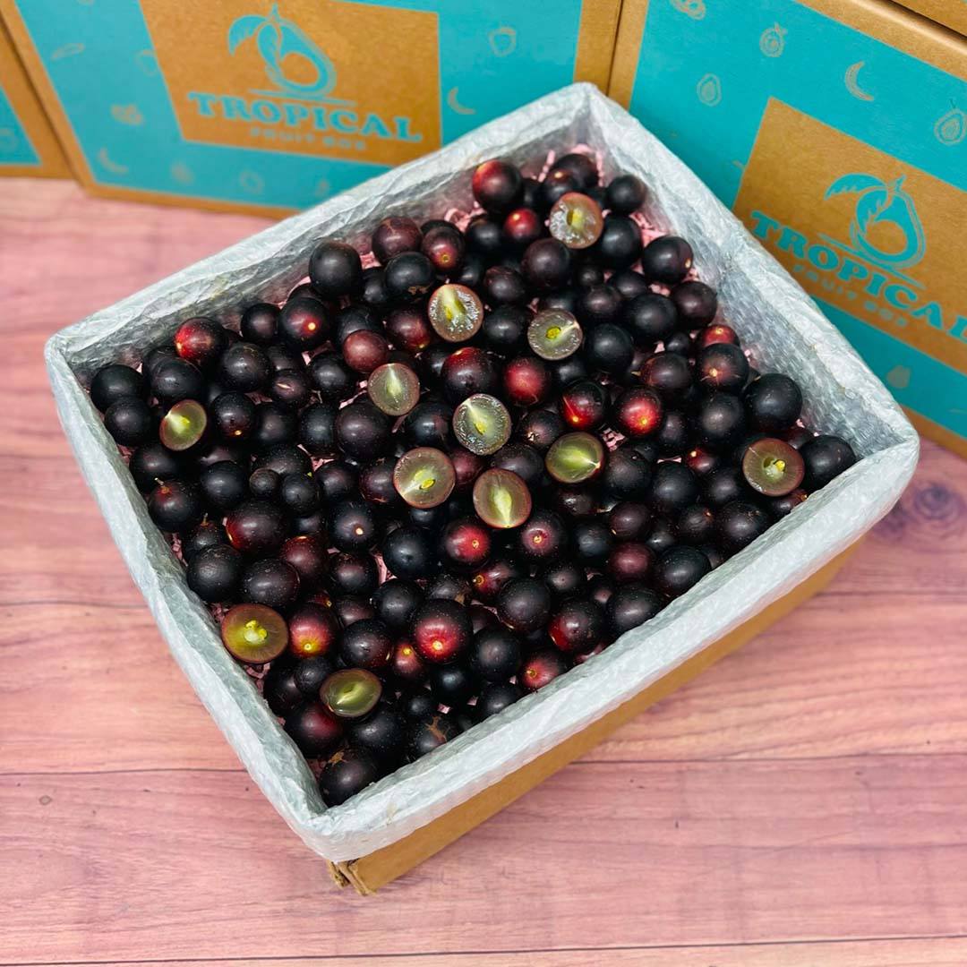 Red Muscadine Grape Box - Large (8 Pounds) - Tropical Fruit Box