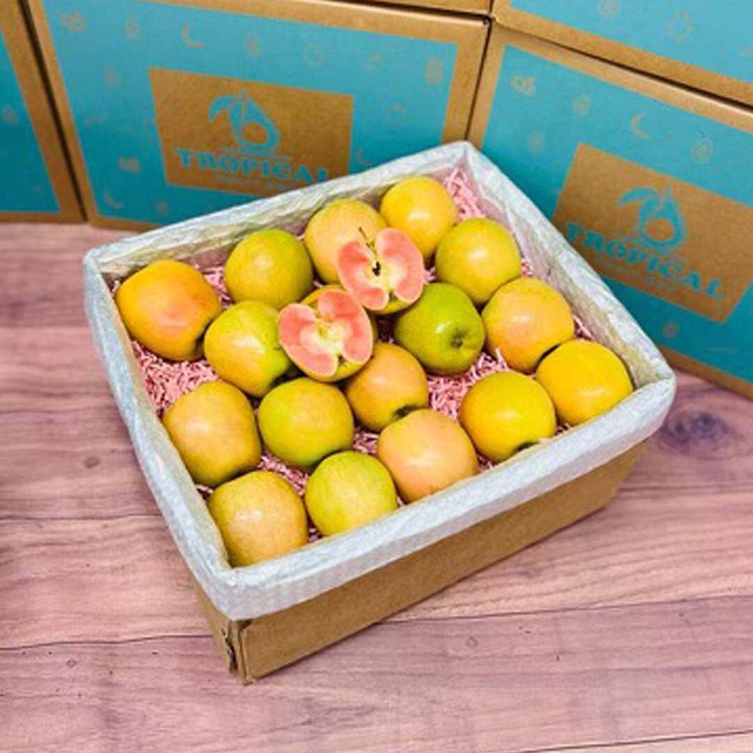 Rose Apple Fruit Box Tropical Fruit Box 