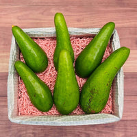 Thumbnail for Russell Long Neck Avocado Box Avocados Tropical Fruit Box Medium (10 Pounds) 