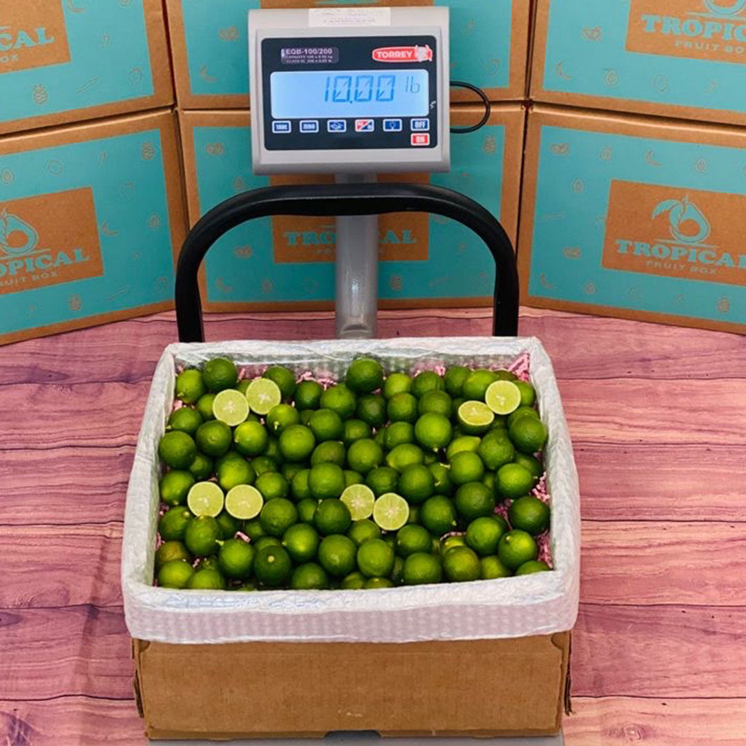 Key Lime Box | We have Key Limes to make Delicious Pies and More ...