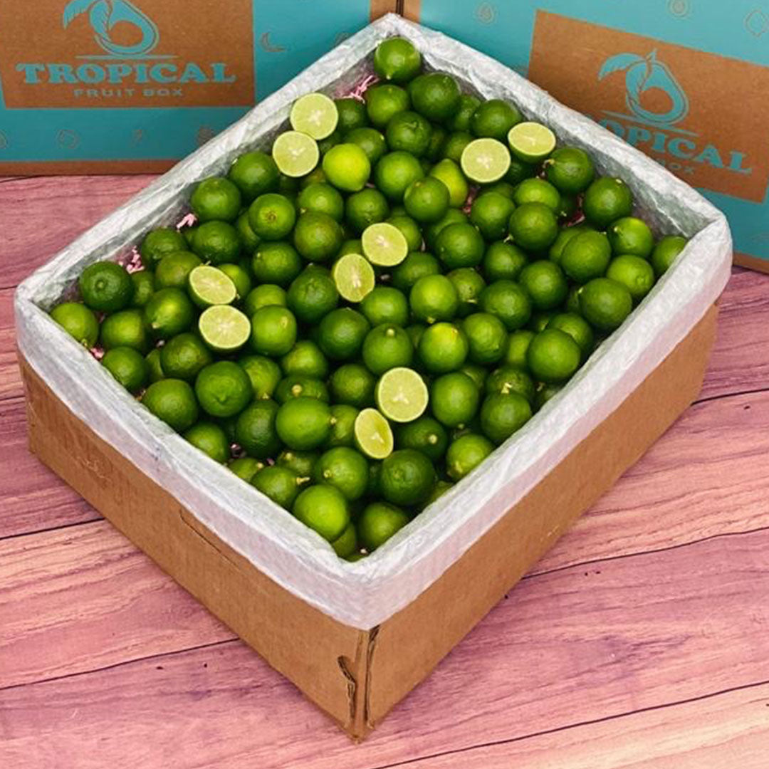 Key Lime BoxX-Large (10 Pounds) 