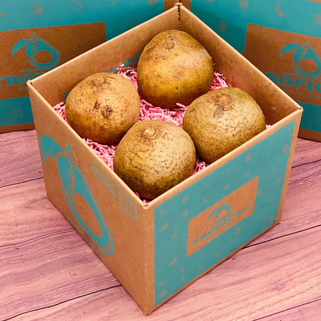 Fresh Mammee Box