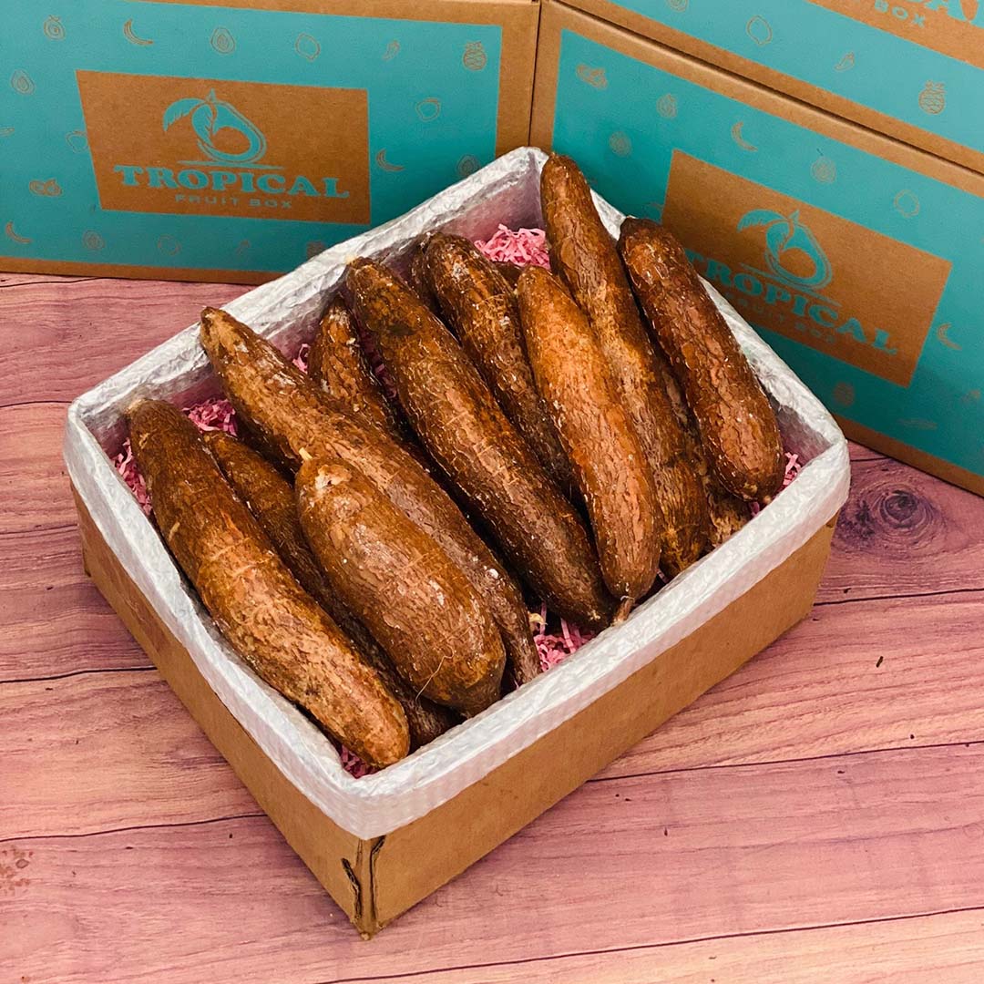 where can i buy yucca root Yuca (Cassava Root) Box Large Box (16 Pounds)