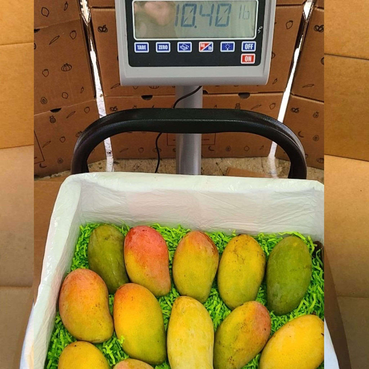 Champagne Mango Box - Tropical Fruit Box