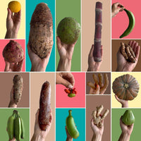 Thumbnail for Create Your Own Tropical Roots Box Tropical Fruit Box Produce Box 00879502008445