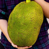 Thumbnail for Fresh whole Jackfruit in a Box Tropical Fruit Box Produce Box