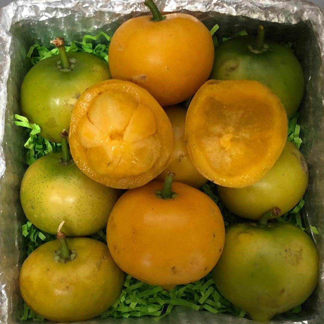 Gamboge | Yellow Mangosteen Fruit Box Tropical Fruit Box Specialty Box Regular (5 Pounds) 00879502003389