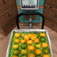 Thumbnail for Gamboge | Yellow Mangosteen Fruit Box Tropical Fruit Box
