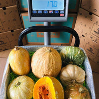 Thumbnail for Haitian Joumou Squash Box Tropical Fruit Box Produce Box 00879502004454