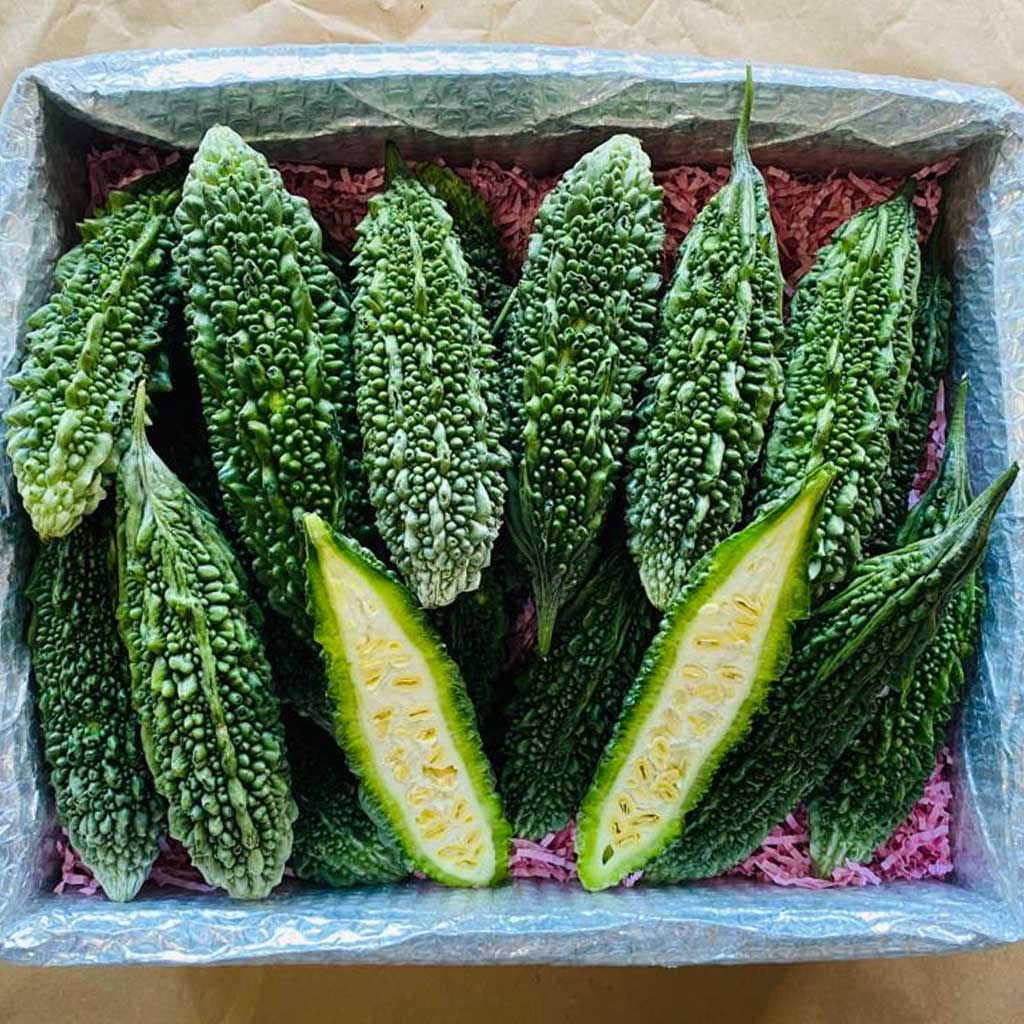 Bitter Melon bitter-melon