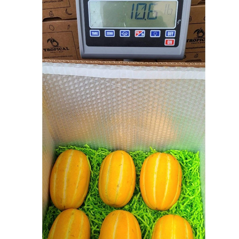 Box Ofmelon Exotic Melon Varieties | Order Online | Tropical Fruit Box