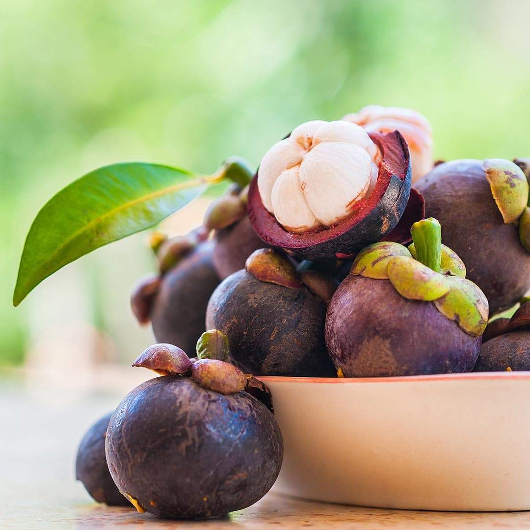 Magostee Buy Purple Mangosteen at Tropical Fruit Box - Small (3 Pounds ...