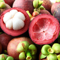 Thumbnail for Mangosteen Fruit Cut open for sale online