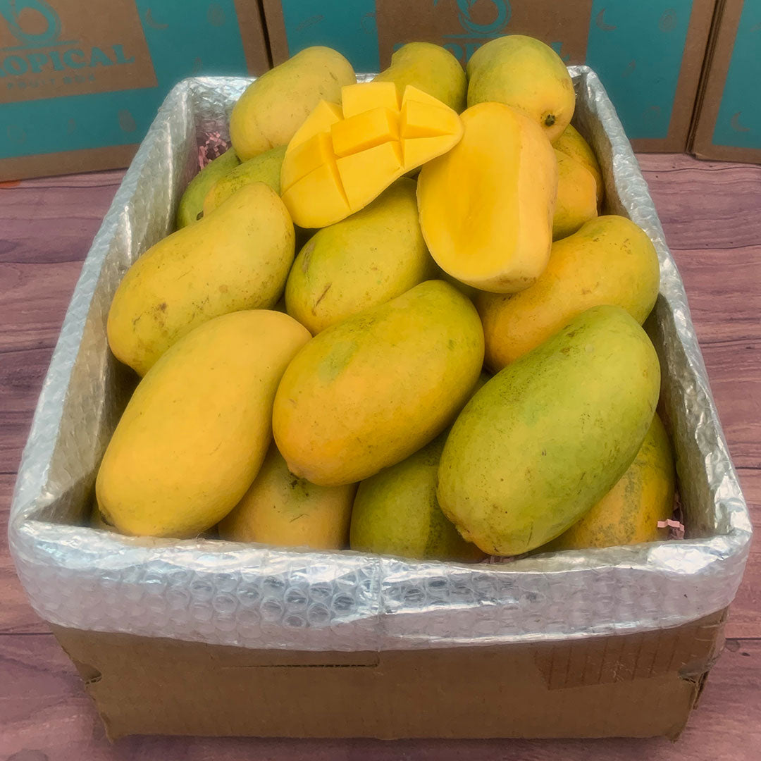 Mingolo Mango Box - Small (5 Pounds) - Tropical Fruit Box