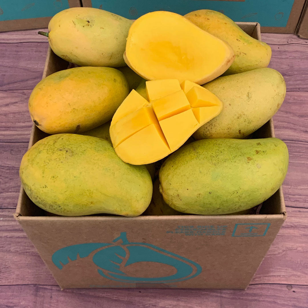 Mingolo Mango Box - Large (16 Pounds) - Tropical Fruit Box