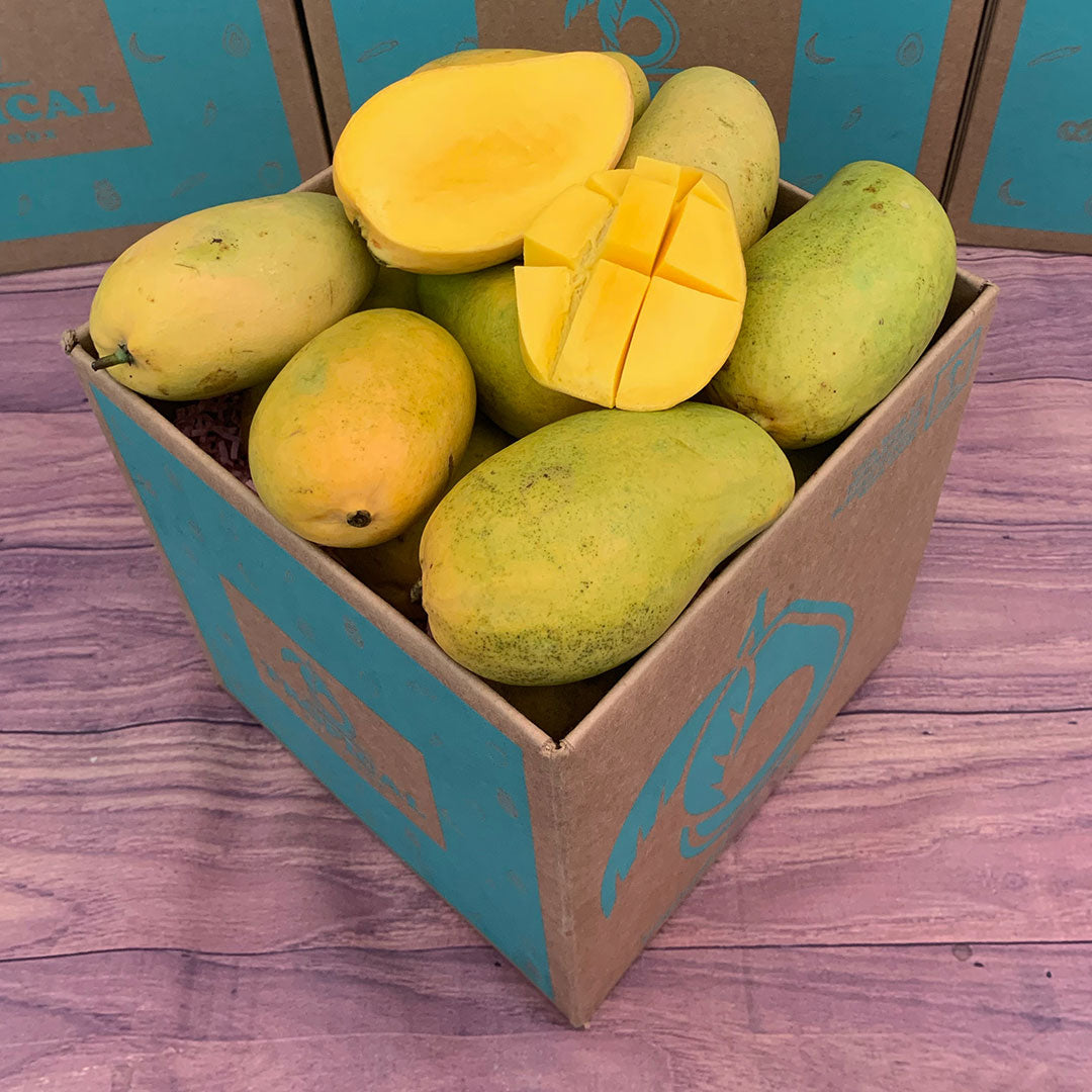 Mingolo Mango Box - Large (16 Pounds) - Tropical Fruit Box